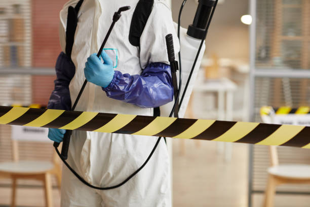 Professional Sewage Cleanup technician working in Belfair, WA
